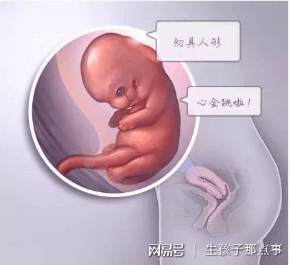 关于代怀选性别包生男孩